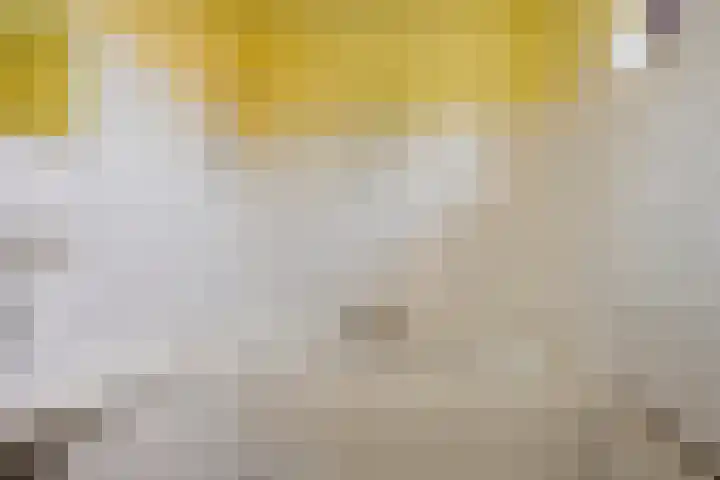 Rietgors 27 Deurne thumbnail 23