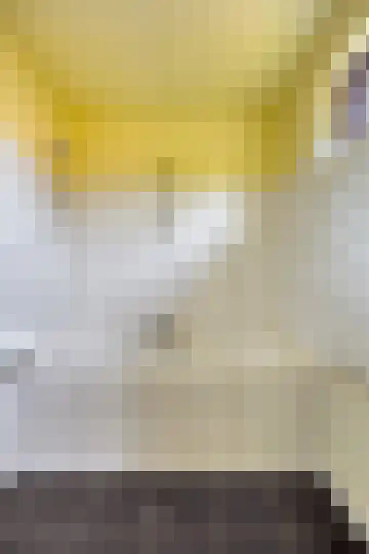 Rietgors 27 Deurne thumbnail 25