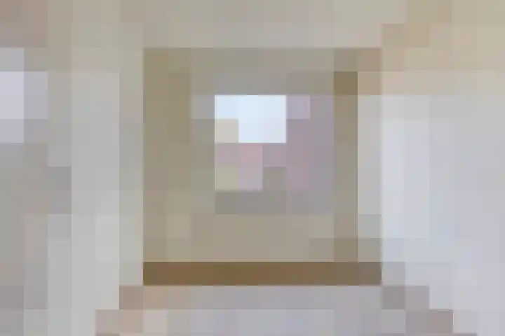 Rietgors 27 Deurne thumbnail 28
