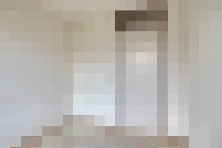Rietgors 27 Deurne thumbnail 29