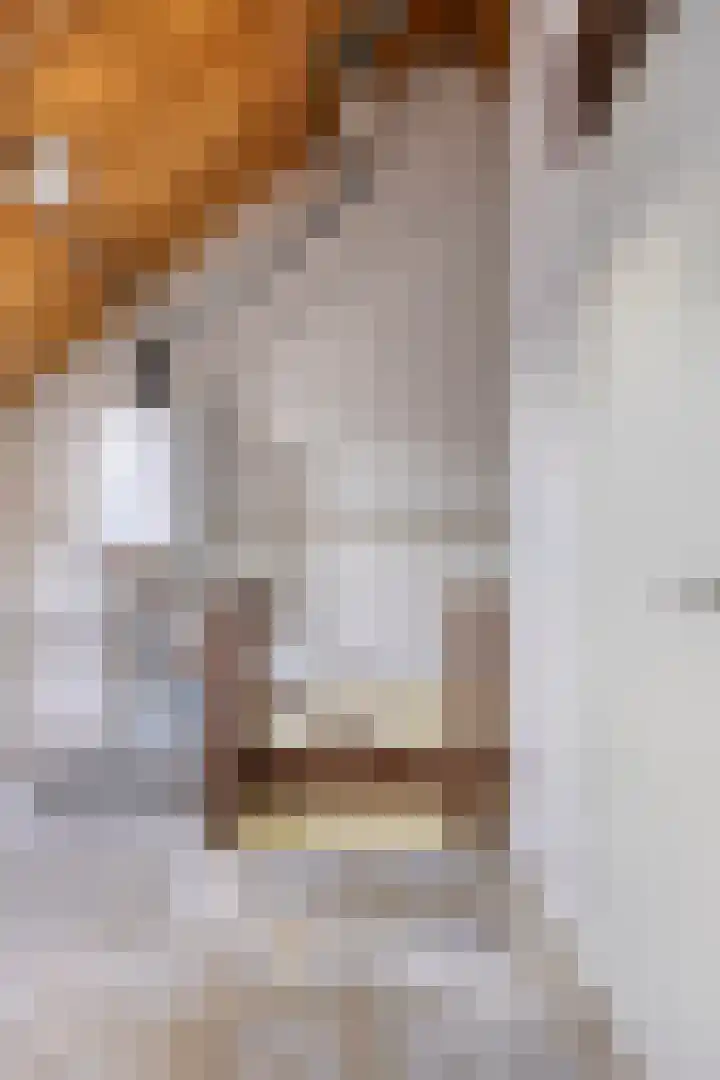 Rietgors 27 Deurne thumbnail 31