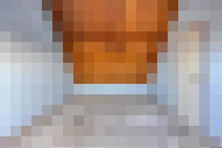 Rietgors 27 Deurne thumbnail 32