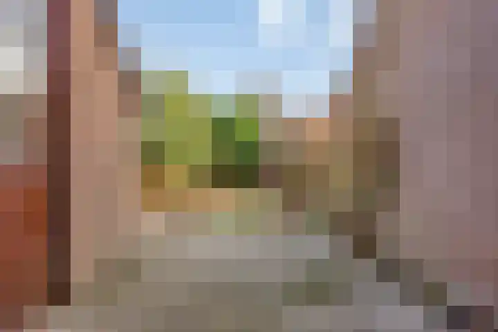 Rietgors 27 Deurne thumbnail 34