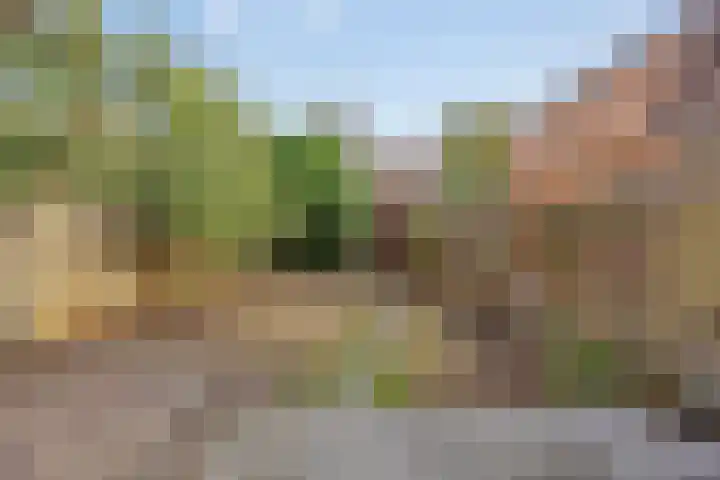 Rietgors 27 Deurne thumbnail 35