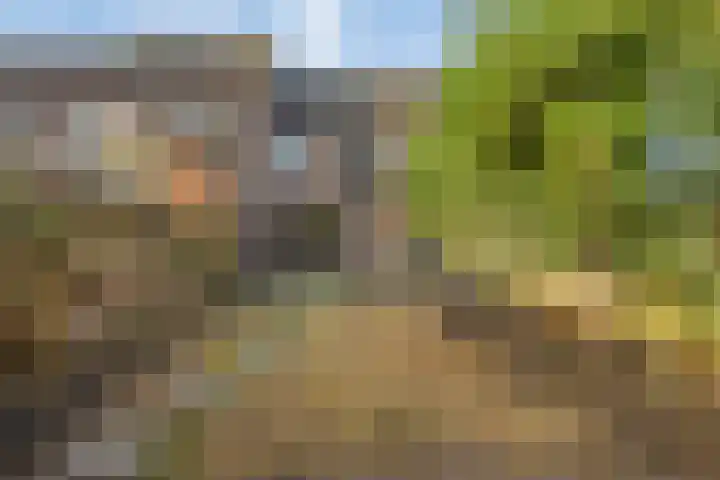 Rietgors 27 Deurne thumbnail 36