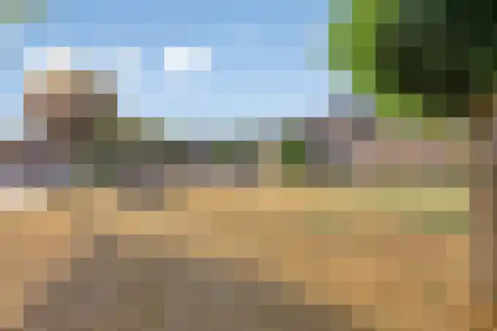 Rietgors 27 Deurne thumbnail 37