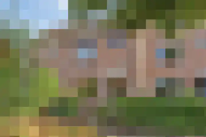 Rietgors 27 Deurne thumbnail 45