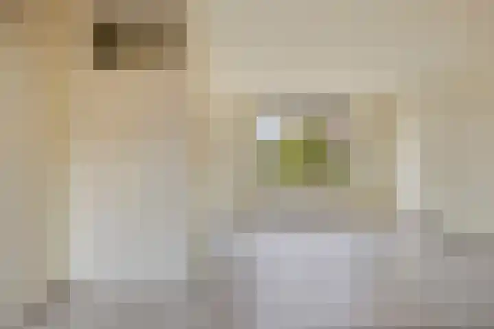 Rietgors 27 Deurne thumbnail 6