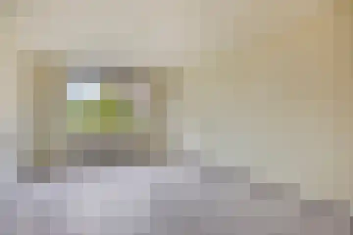 Rietgors 27 Deurne thumbnail 7