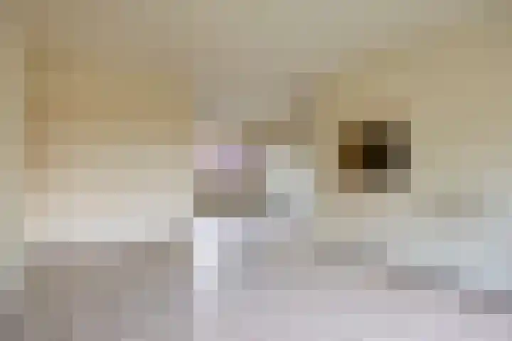Rietgors 27 Deurne thumbnail 9