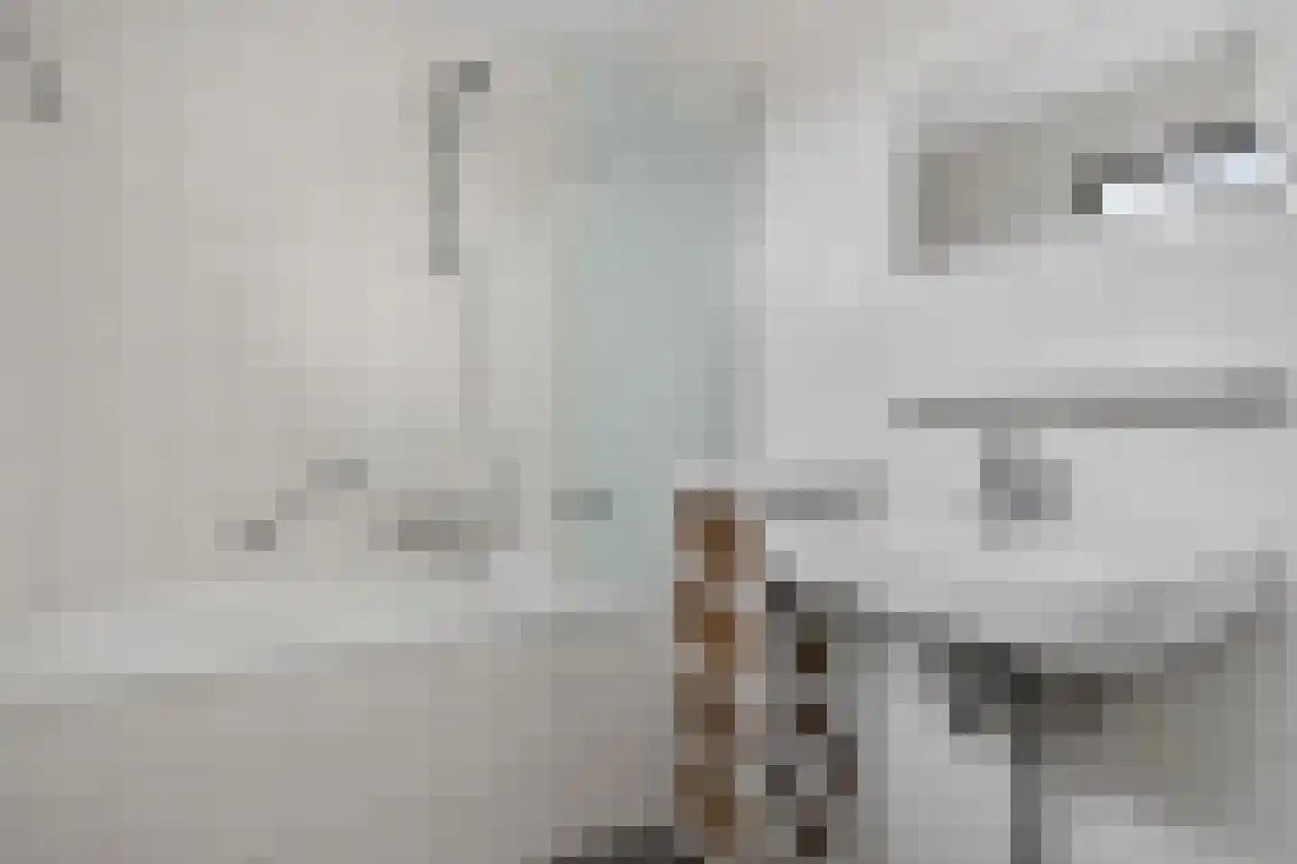 Rietgors 28 Deurne thumbnail 22
