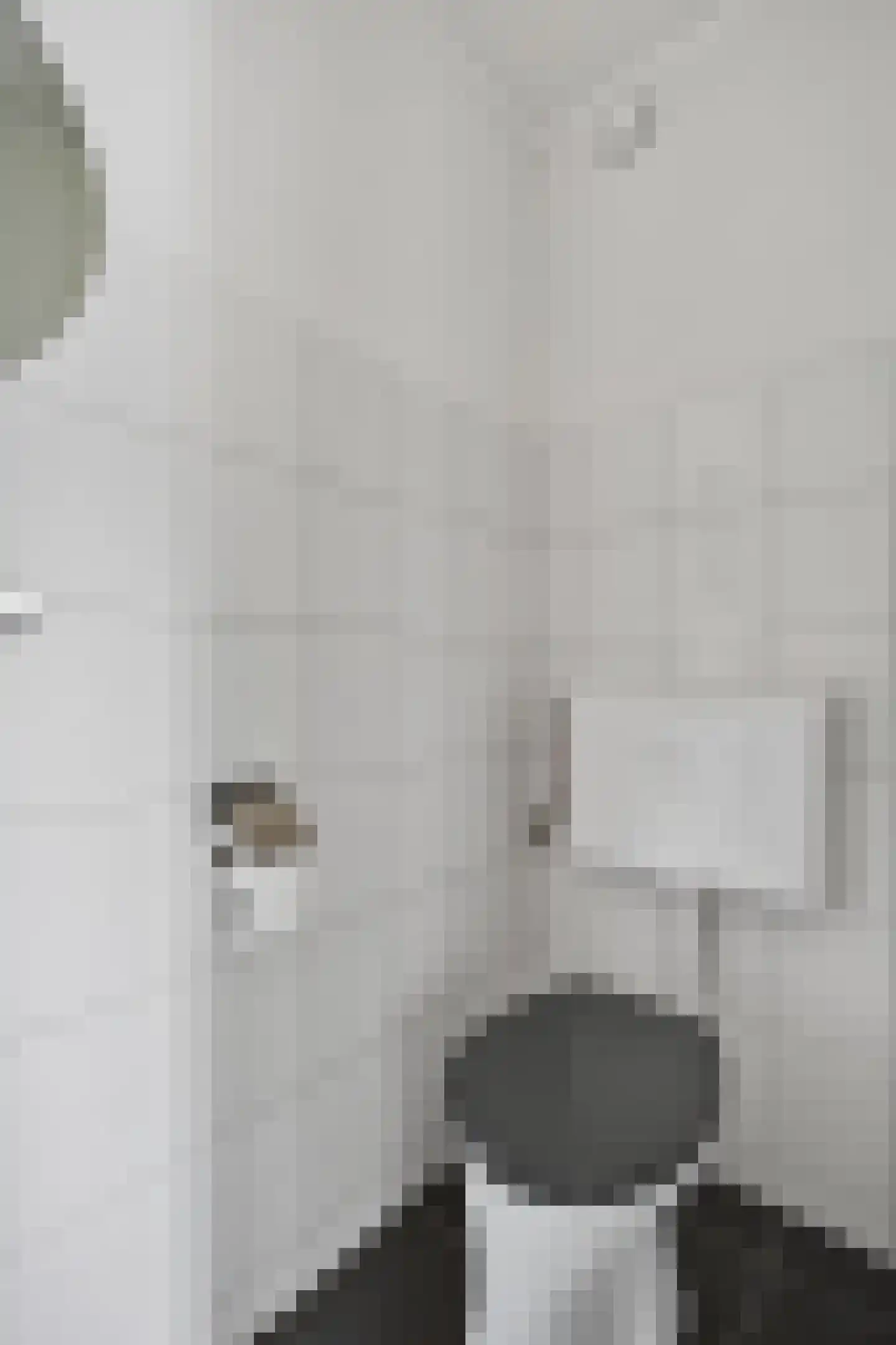 Rietgors 28 Deurne thumbnail 28