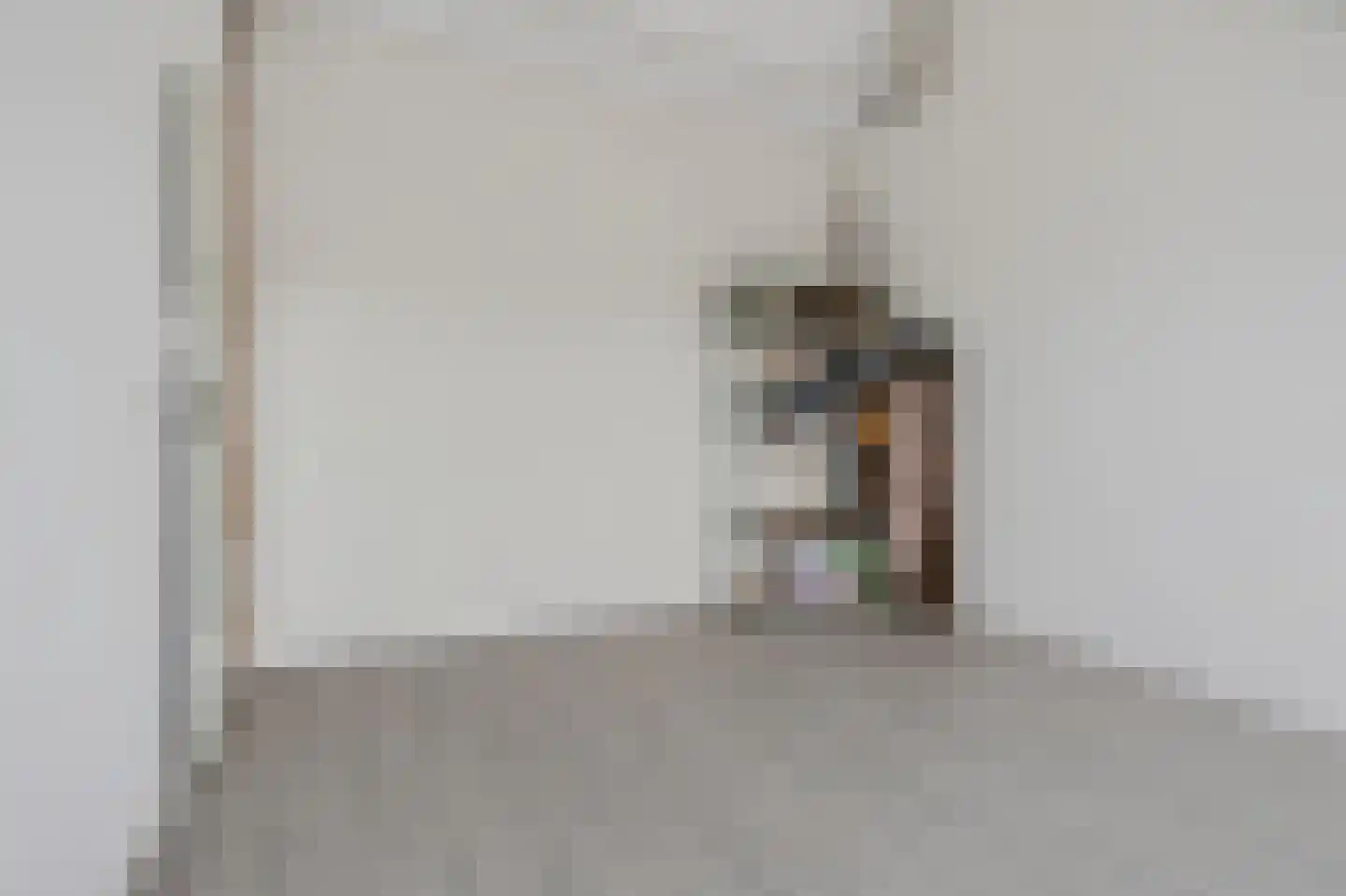 Rietgors 28 Deurne thumbnail 31