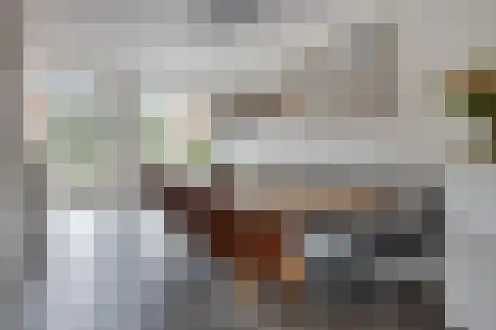 Rietgors 3 Rhenen thumbnail 11