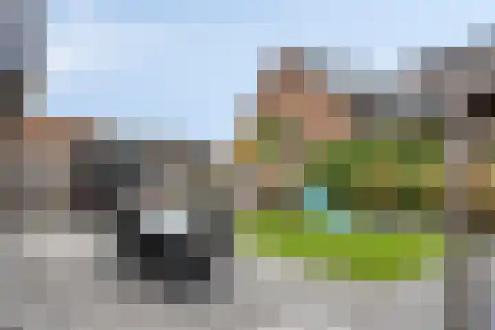 Rietgors 3 Rhenen thumbnail 42