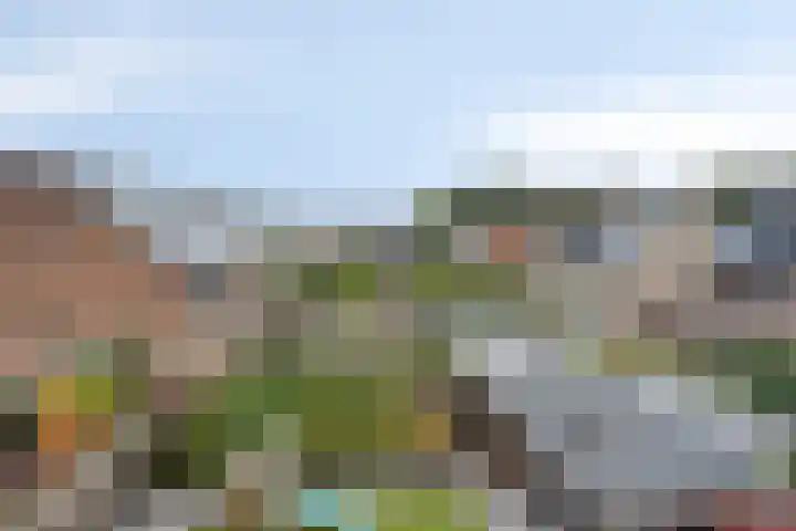 Rietgors 3 Rhenen thumbnail 47
