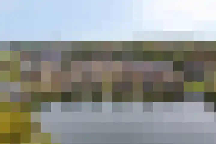 Rietgors 3 Rhenen thumbnail 5