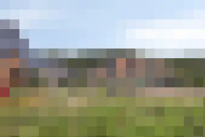 Rietgors 3 Rhenen thumbnail 50