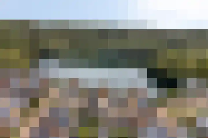 Rietgors 3 Rhenen thumbnail 57