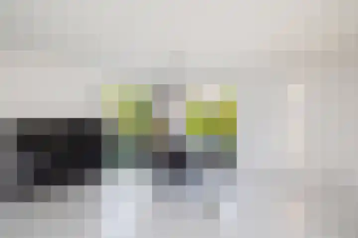 Rietgors 3 's-Hertogenbosch thumbnail 10
