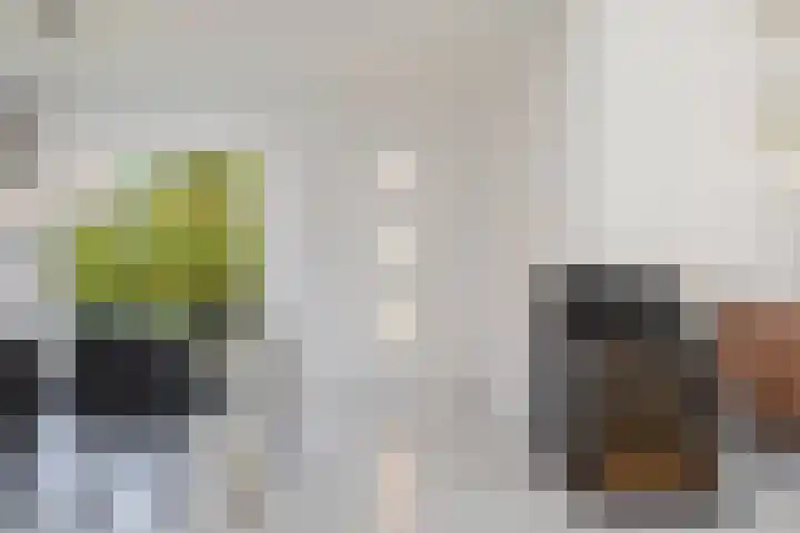 Rietgors 3 's-Hertogenbosch thumbnail 11