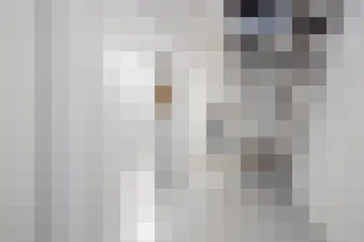 Rietgors 3 's-Hertogenbosch thumbnail 13