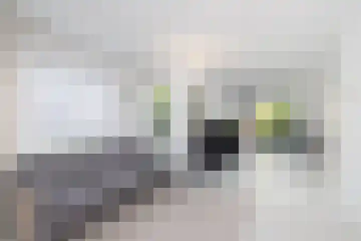 Rietgors 3 's-Hertogenbosch thumbnail 17