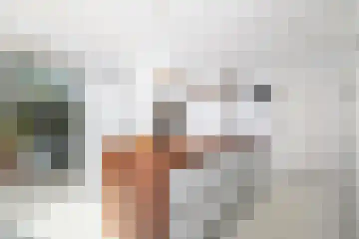 Rietgors 3 's-Hertogenbosch thumbnail 20