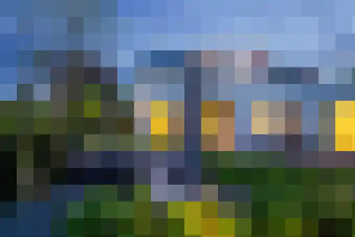 Rietgors 3 's-Hertogenbosch thumbnail 25