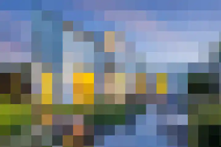 Rietgors 3 's-Hertogenbosch thumbnail 26