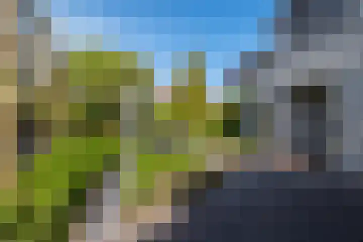 Rietgors 3 's-Hertogenbosch thumbnail 29