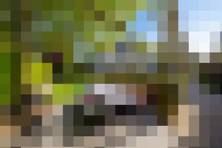 Rietgors 3 's-Hertogenbosch thumbnail 30