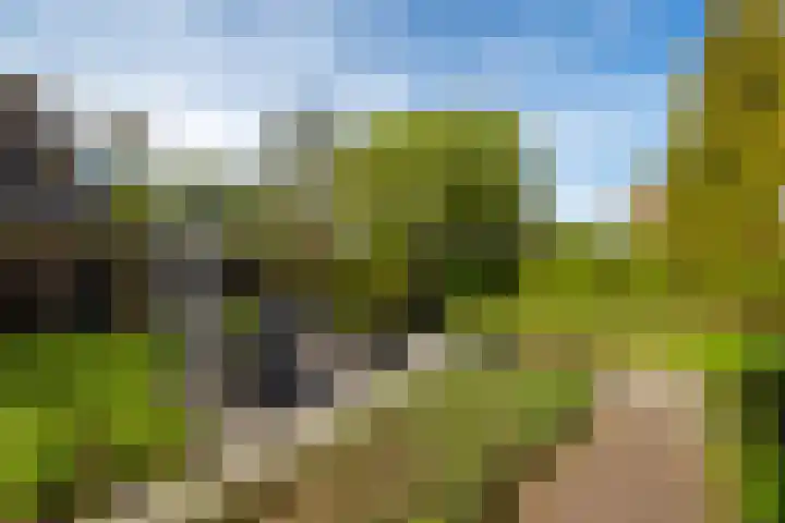 Rietgors 3 's-Hertogenbosch thumbnail 31