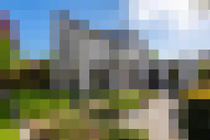 Rietgors 3 's-Hertogenbosch thumbnail 32