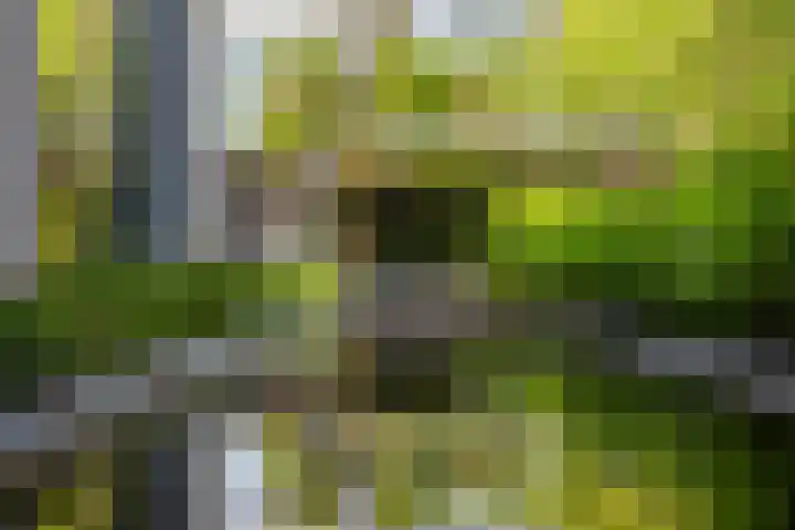 Rietgors 3 's-Hertogenbosch thumbnail 33
