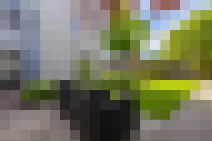 Rietgors 3 's-Hertogenbosch thumbnail 36
