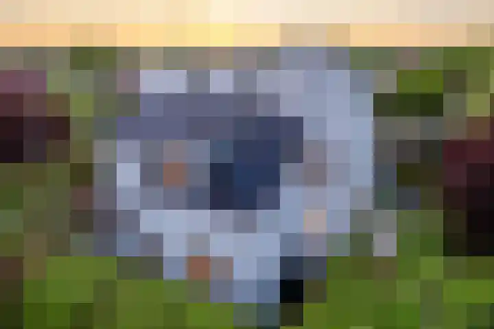 Rietgors 3 's-Hertogenbosch thumbnail 4