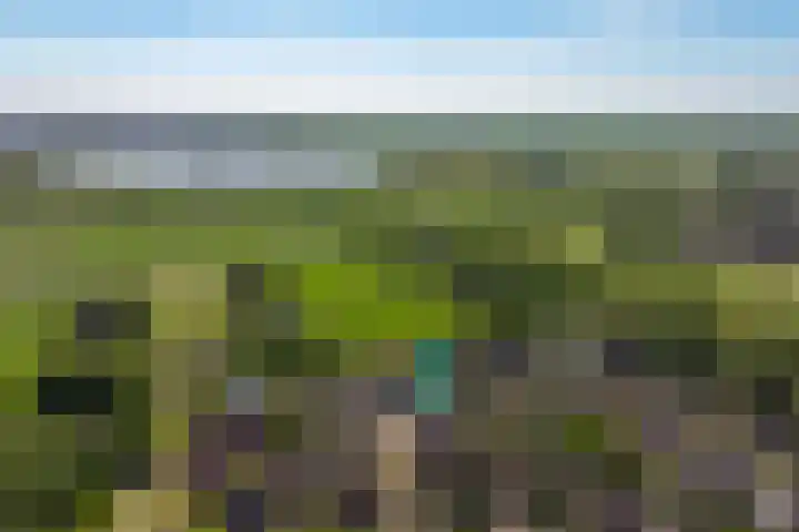 Rietgors 3 's-Hertogenbosch thumbnail 41
