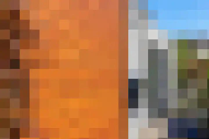 Rietgors 3 's-Hertogenbosch thumbnail 43