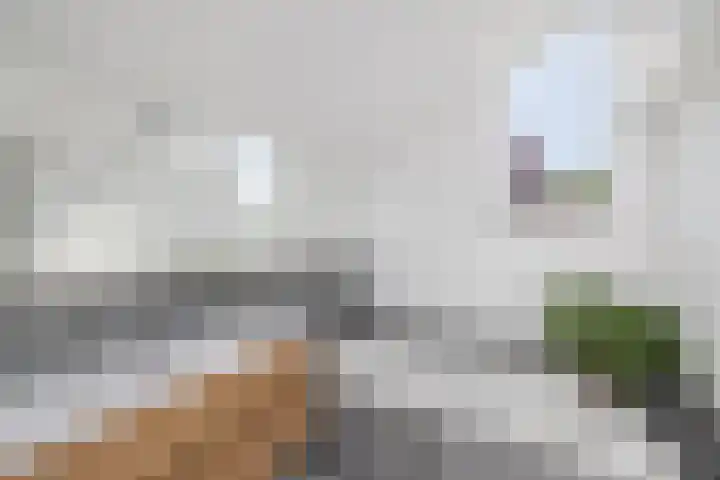 Rietgors 3 's-Hertogenbosch thumbnail 58