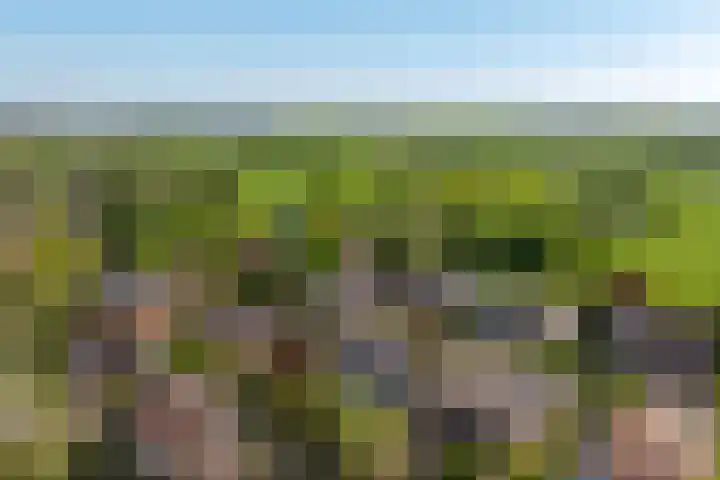 Rietgors 3 's-Hertogenbosch thumbnail 60