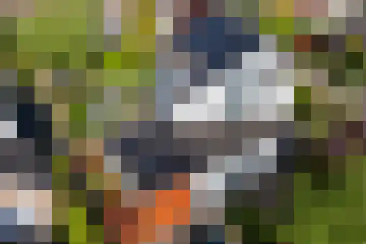Rietgors 3 's-Hertogenbosch thumbnail 64