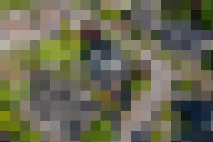 Rietgors 3 's-Hertogenbosch thumbnail 66
