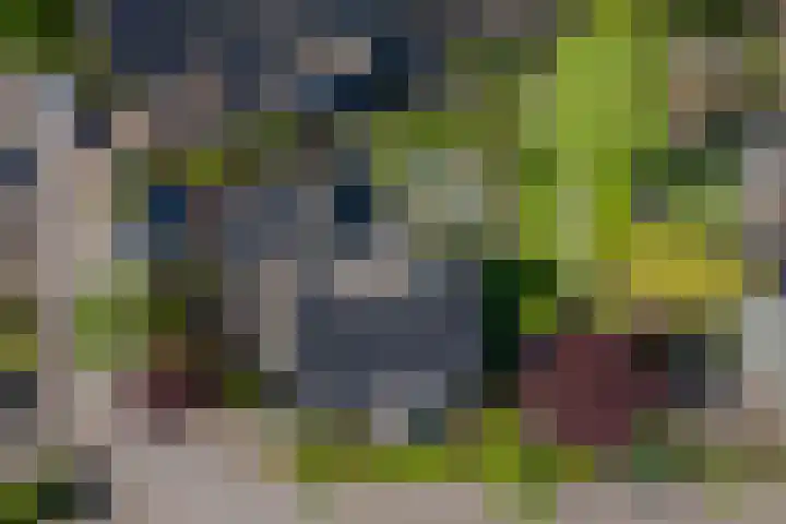 Rietgors 3 's-Hertogenbosch thumbnail 67