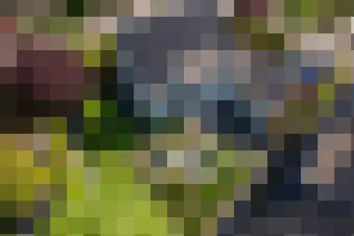 Rietgors 3 's-Hertogenbosch thumbnail 68