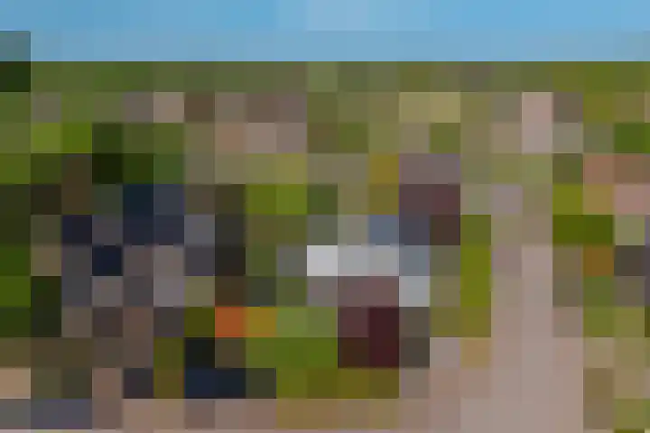 Rietgors 3 's-Hertogenbosch thumbnail 69