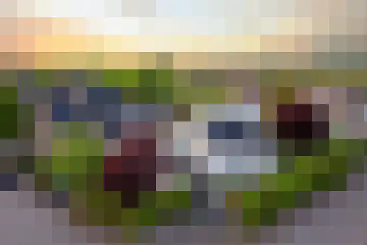 Rietgors 3 's-Hertogenbosch thumbnail 71