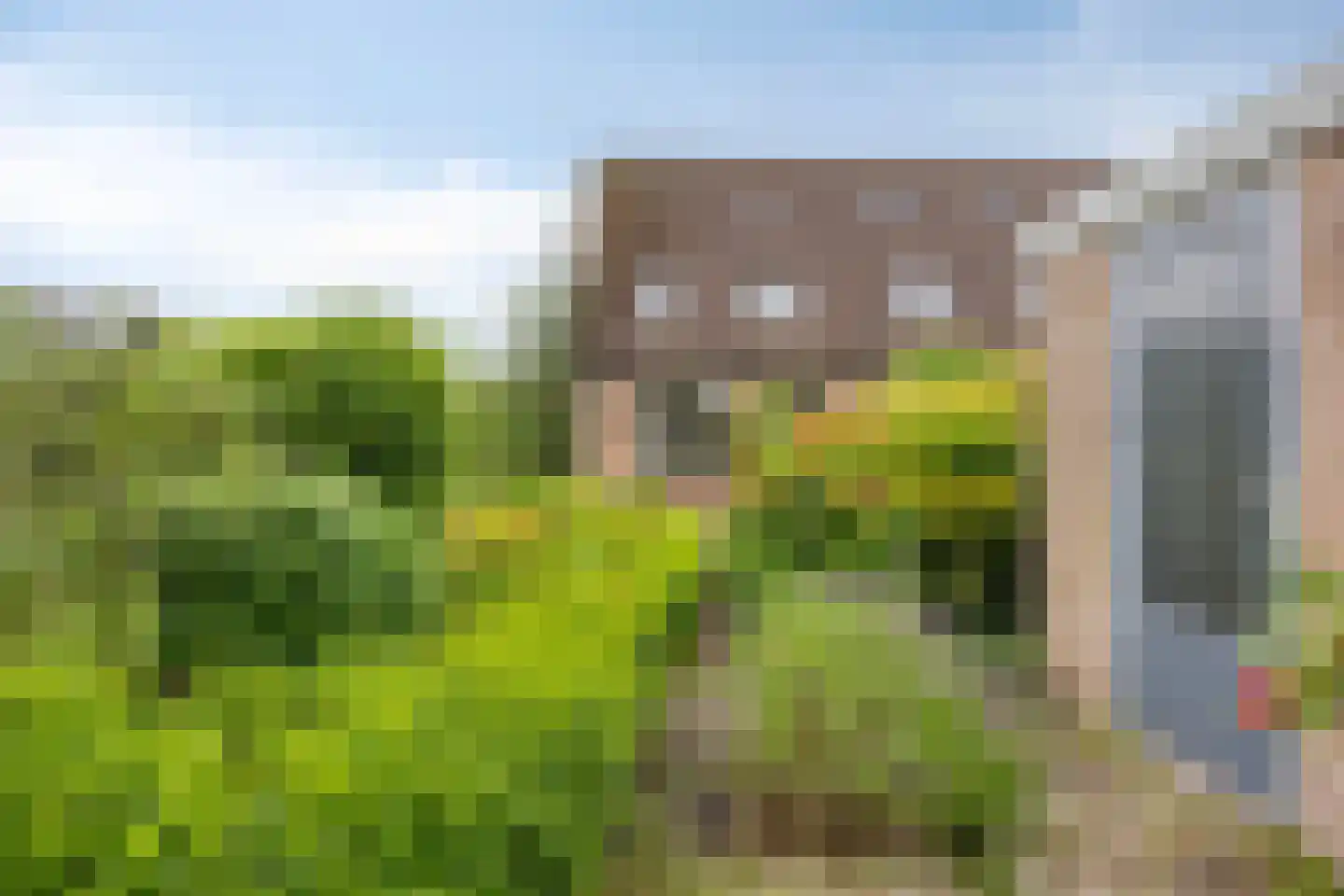 Rietgors 30 IJsselmuiden thumbnail 28