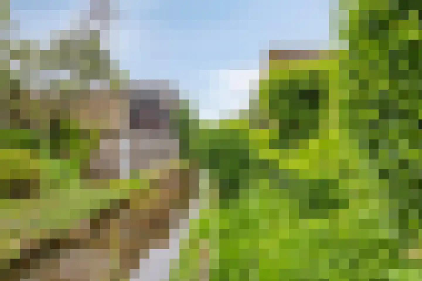 Rietgors 30 IJsselmuiden thumbnail 33