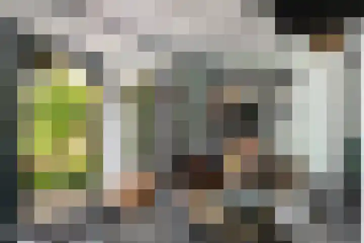 Rietgors 33 Alblasserdam thumbnail 10